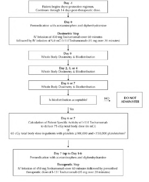 Overview of the Dosing Schedule - Illustration