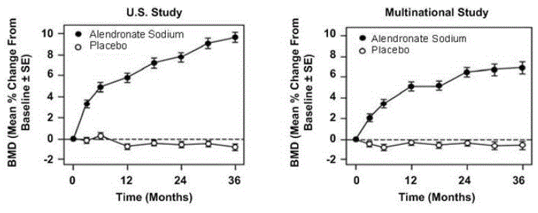 Osteoporosis Treatment in Studies in Postmenopausal Women
Time Course Effect of Alendronate Sodium 10 mg/day Versus Placebo: Lumbar Spine BMD
Percent Change From Baseline - U.S.Study - Illustration