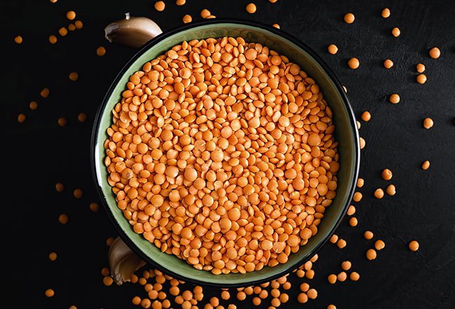 lentils nutrition