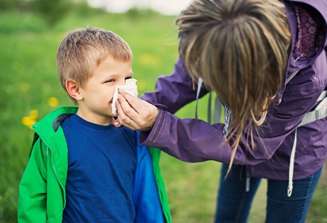 what causes nose allergies