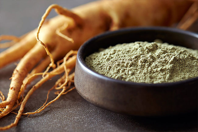This root has been a staple of traditional Chinese medicine for centuries.