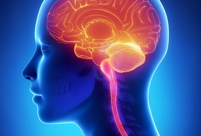 The medical term sclerosis refers to abnormal hardening of body tissue. In multiple sclerosis, there is a development of hard areas called 