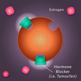 Hormone replacement therapy (HRT)