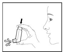 Press down firmly on the center of the dose indicator until the canister stops moving in the actuator, to release a puff of medicine from the mouthpiece  - Illustration