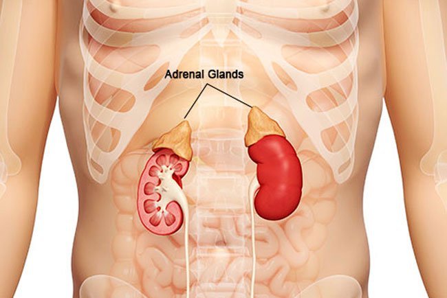 Corticosteroids are lab-made steroid medicines that quickly fight inflammation in your body.