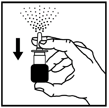 Prime the spray pump - Illustration