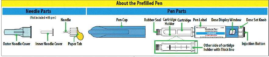 Bynfezia Pen - Illustration