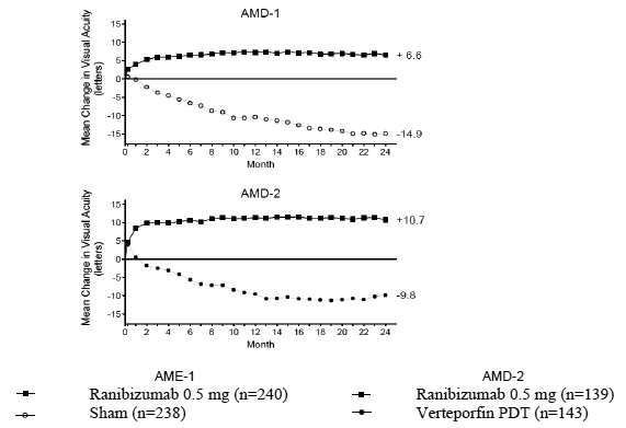 Mean Change in Visual Acuity* from Baseline to Month 24 in Study AMD-1 and Study AMD-2 - Illustration