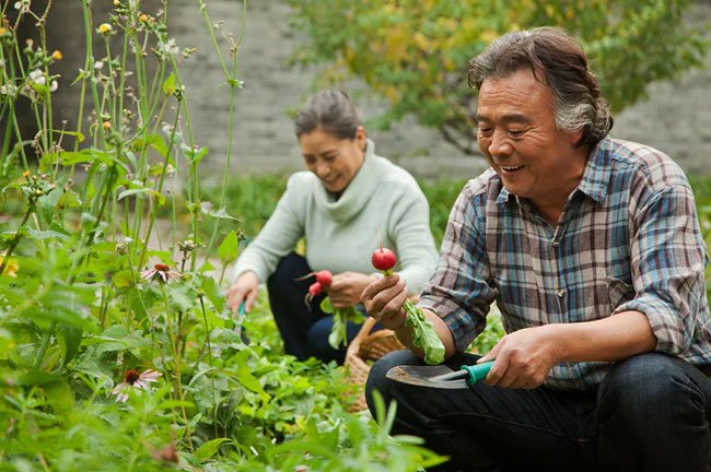 Burn calories by doing chores around the house or in the yard.