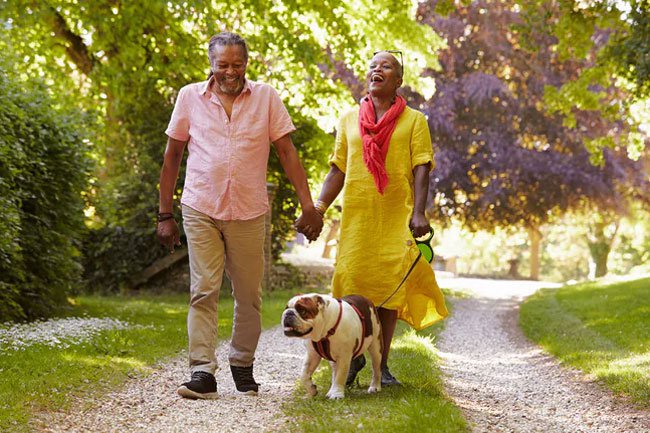 How many calories can you burn walking your dog?
