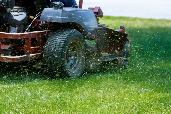 Mowing the lawn is a great way to burn calories.