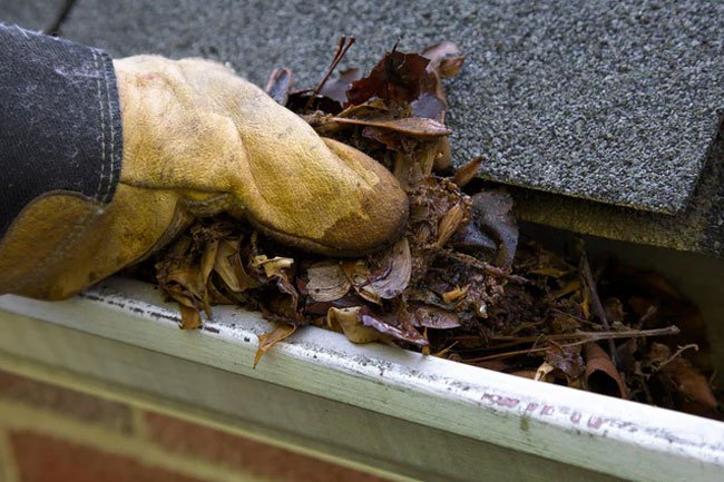Cleaning your gutters can burn some calories, but be safe and careful.