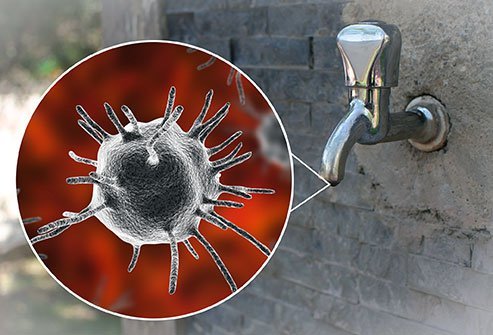 Acanthamoeba is a germ commonly found in soil, dust, fresh water sources