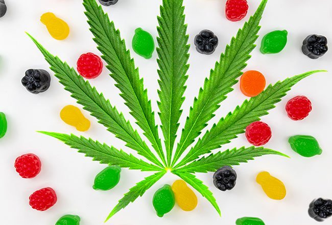 what is an edible