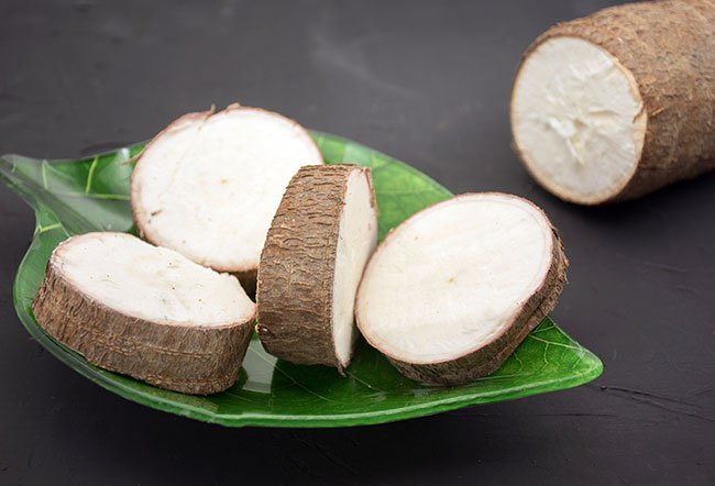 Yucca is an edible, starchy plant from which cassava and tapioca are made. Yucca is edible.