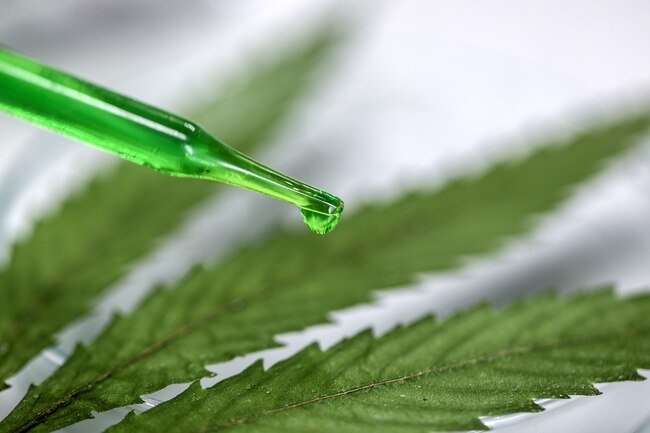 Made from marijuana plants, this is also called hemp or marijuana oil.