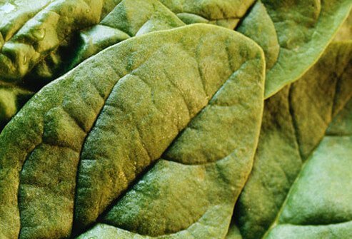Close-up of spinach leaves.