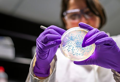 CRE bacteria