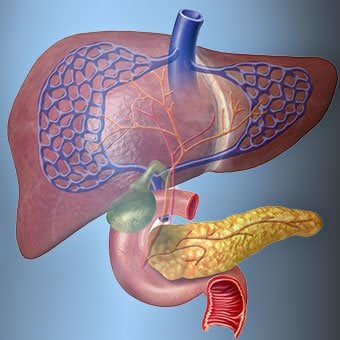 Bleeding from esophageal varices and spleen hypersplenism are complications of cirrhosis.