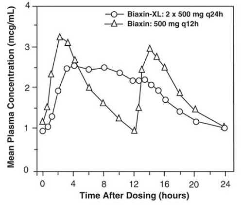 Steady-State Clarithromycin Plasma
Concentration-Time Profiles - Illustration