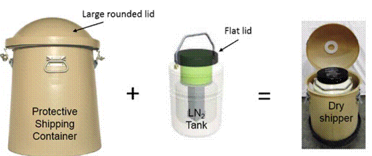 Dry shipper components and configuration Formula - Illustration