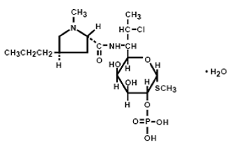 Cleocin® Vaginal Ovules (clindamycin phosphate vaginal suppositories) Structural Formula Illustration