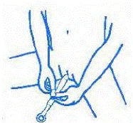 Gently insert the applicator into your vagina as far as it will comfortably go - Illustration