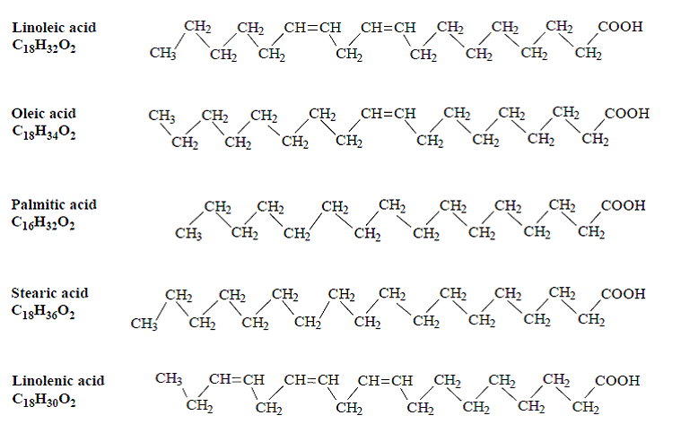 Major component acids - Structural Formula Illustration