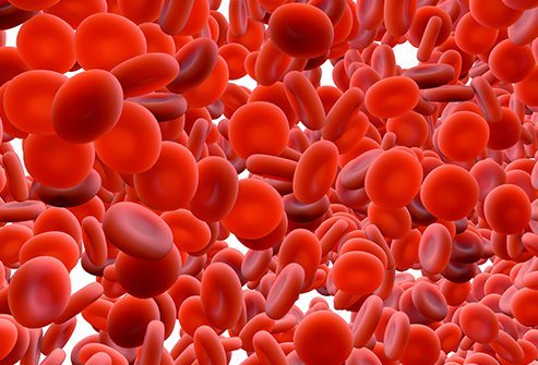 Illustration of red blood cells.