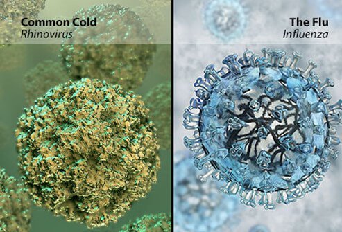 Discover the differences between a common cold and the flu.