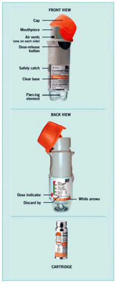 The COMBIVENT RESPIMAT inhaler -  Illustration