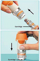 Push against a firm surface to ensure that it is correctly inserted - Illustration