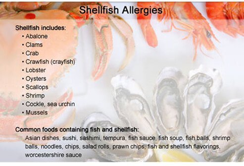 People who have shellfish allergies must avoid all types of shellfish.