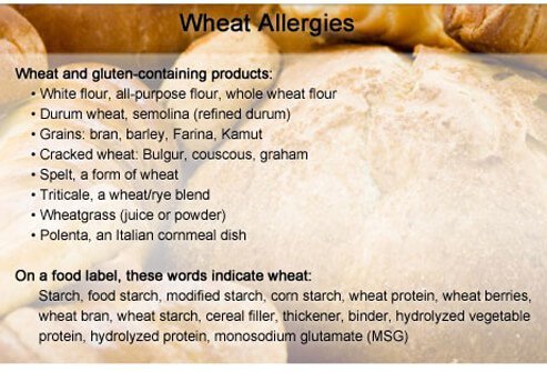 An allergic reaction to wheat is actually an intolerance to gluten, which is a protein found in wheat, rye, barley, and oats.