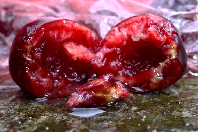 Cherry pits contain cyanide but they pass through your system if you accidentally swallow them.