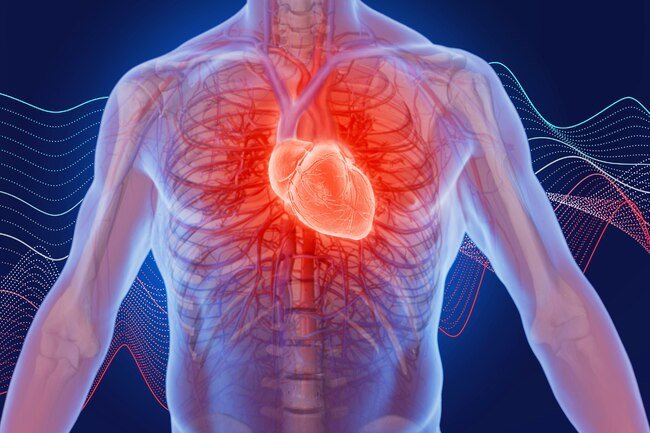 Women are more likely to experience upper back pressure, jaw pain, and shortness of breath when they have a heart attack.
