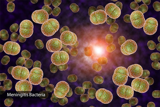 Infections like meningitis or septic shock can trigger hallucinations, but treating the infection helps.