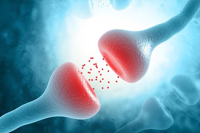 More than half of those who suffer from Parkinson's disease have hallucinations.