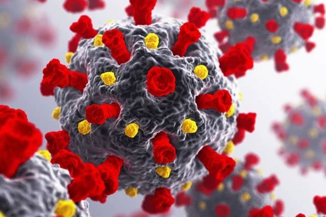 Coronavirus Isn't Even 'Alive,' But Expert Explains How It Can Harm
