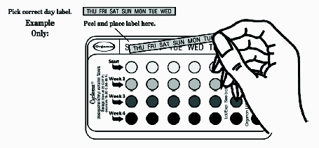 Place this day label strip in the cycle tablet dispenser over the area that has the days of the week (starting with Sunday) imprinted in the plastic.