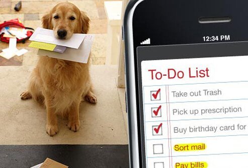Did you try to get everything done at one time?