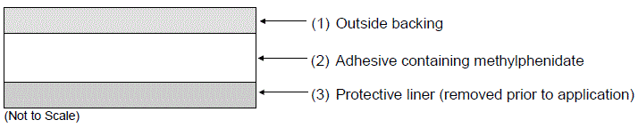 Cross-Section of the Patch - Illustration