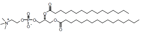 DPPC - Structural Formula Illustration