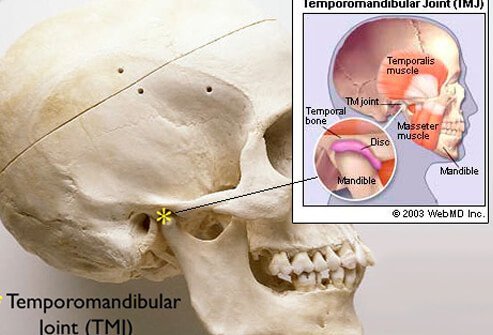 A skull showing the temporomandibular joint with an illustration callout showing TMJ in more detail.