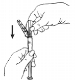 Shake vigorously for 1 minute - Illustration