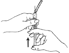 While holding the syringe barrel firmly, remove the plastic needle cover from the needle without twisting, ensuring the needle
is still firmly attached to the syringe - Illustration