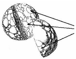Artist’s rendition of a DepoCyt particle -llustration