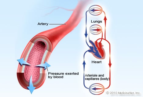 Blood Pressure Illustration