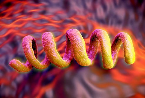 Antibiotics in the 20th century helped prevent the spread of these diseases. But more recently, some of these bacterial infections have shown resistance to antibiotics.