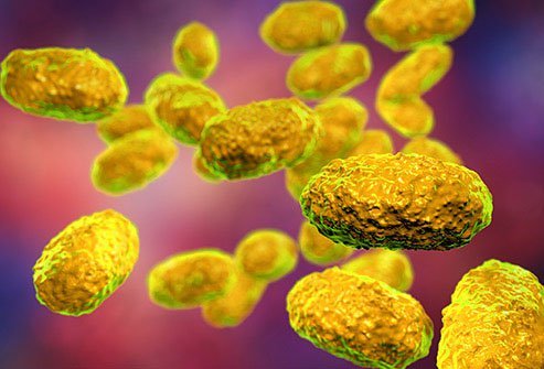 This disease is particularly harmful to babies, for whom it can be deadly.